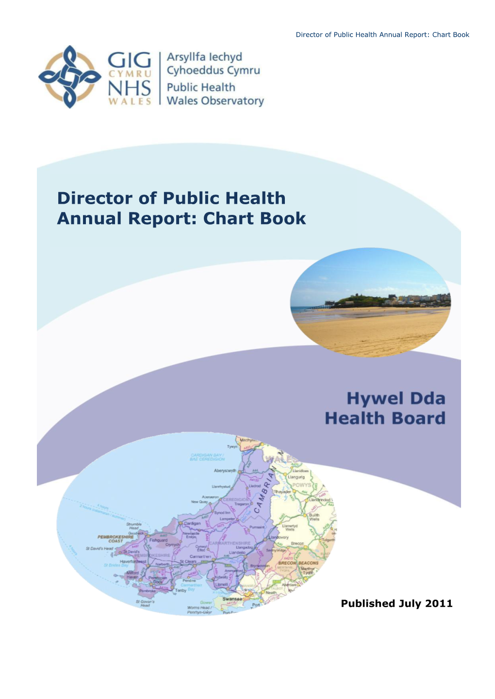 Director of Public Health Annual Report: Chart Book