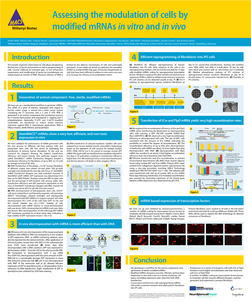 Generation of Animal Component–Free, Sterile, Modified Mrnas