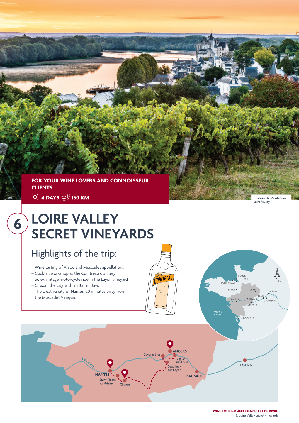 Loire Valley Secret Vineyards 6