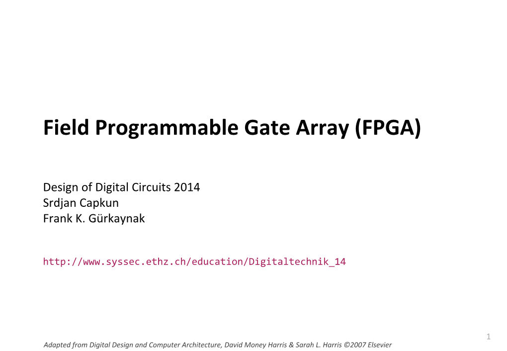 Field Programmable Gate Array (FPGA)