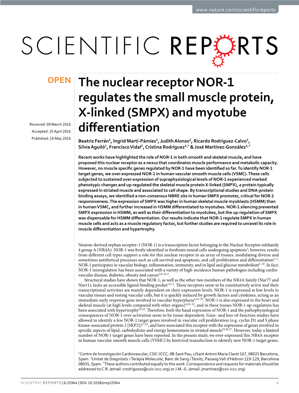 The Nuclear Receptor NOR-1 Regulates the Small Muscle Protein, X-Linked