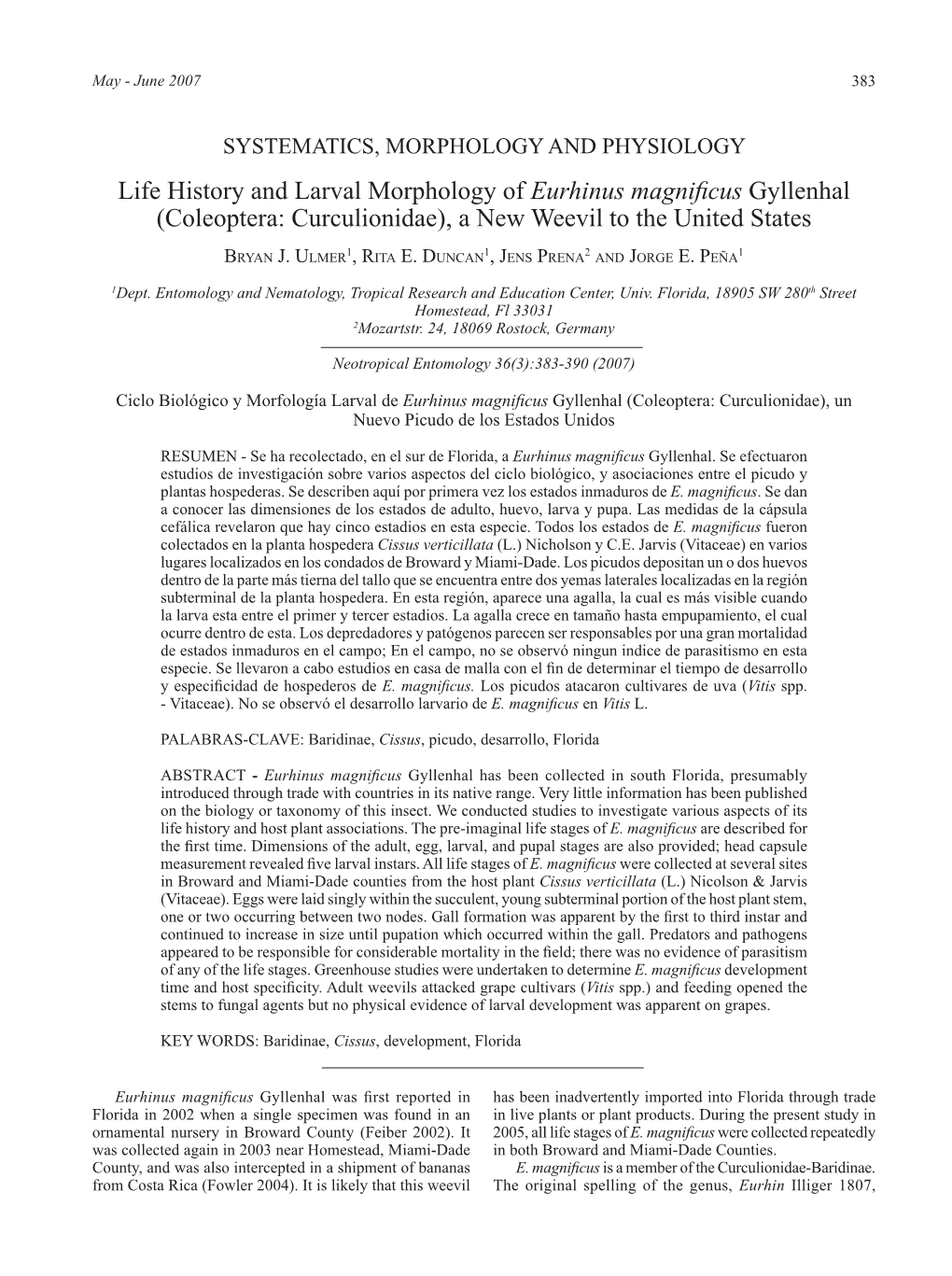 Life History and Larval Morphology of Eurhinus Magnificus Gyllenhal (Coleoptera: Curculionidae), a New Weevil to the United States