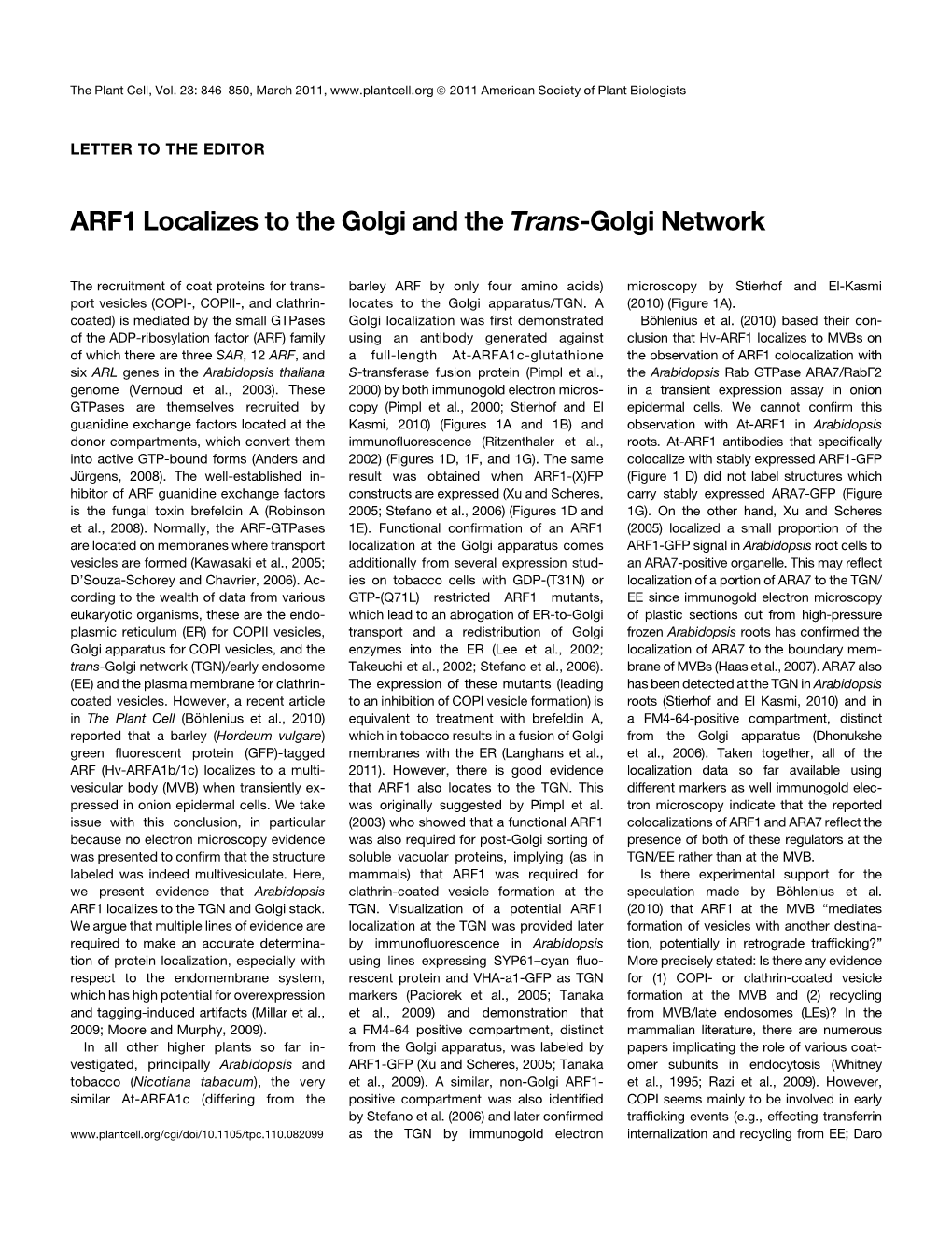 ARF1 Localizes to the Golgi and the Trans-Golgi Network