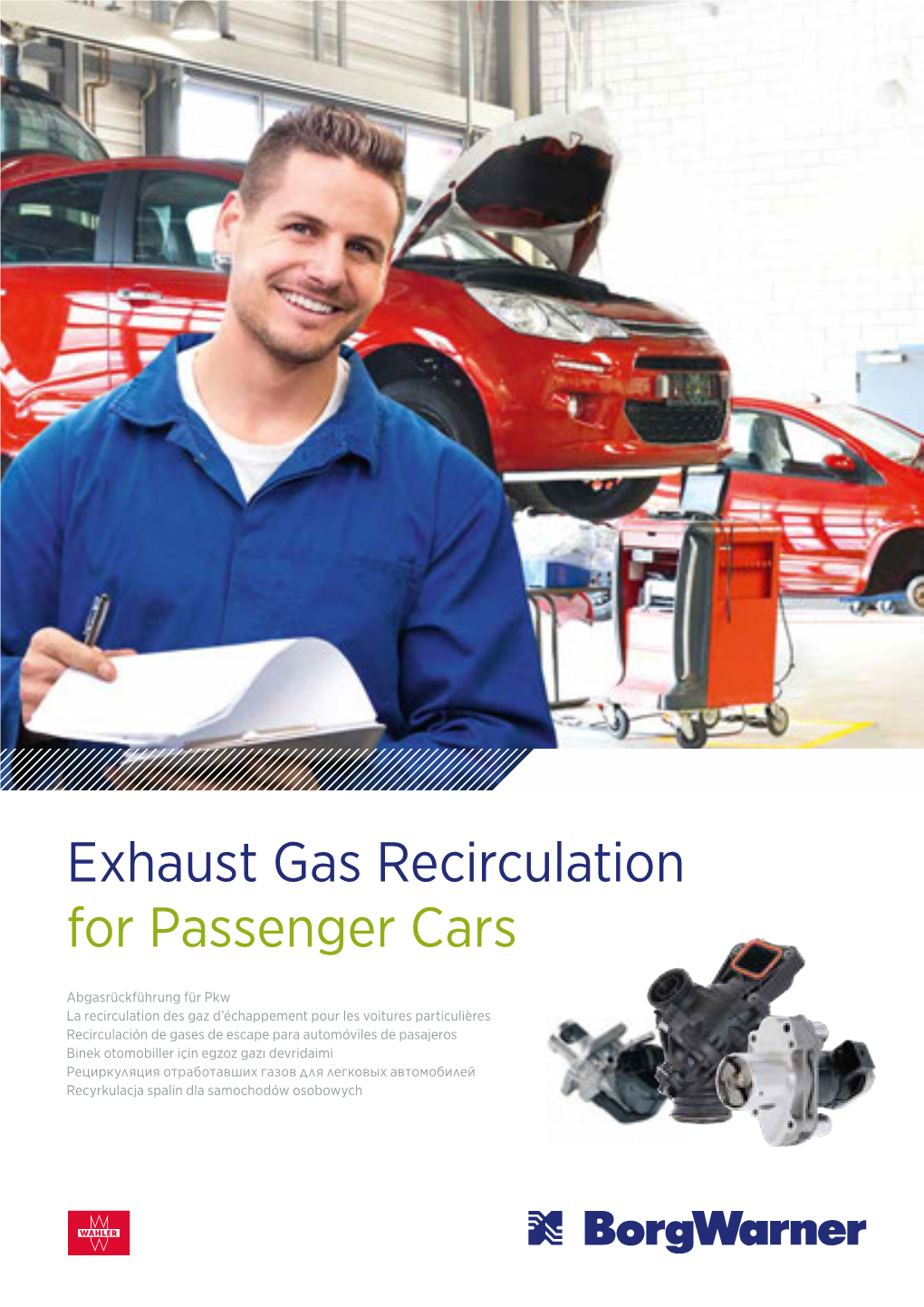 Exhaust Gas Recirculation for Passenger Cars