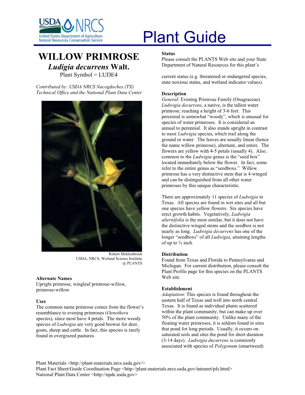 WILLOW PRIMROSE Please Consult the PLANTS Web Site and Your State Department of Natural Resources for This Plant’S Ludigia Decurrens Walt