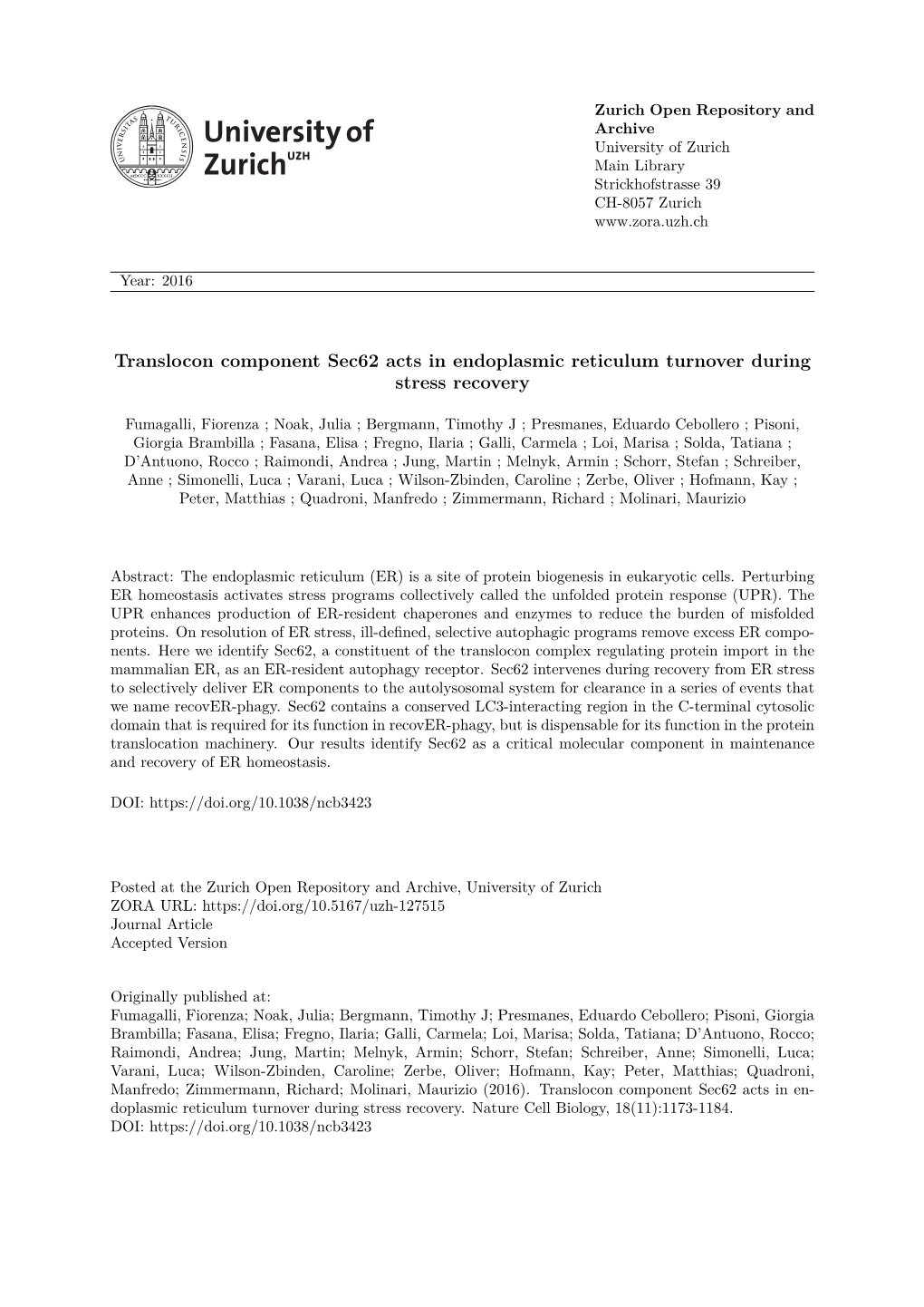 Sec62 Regulates Endoplasmic Reticulum Turnover During Recovery from ER Stress