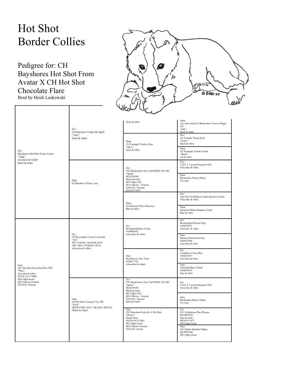 Pedigree For: CH Bayshores Hot Shot from Avatar X CH Hot Shot Chocolate Flare