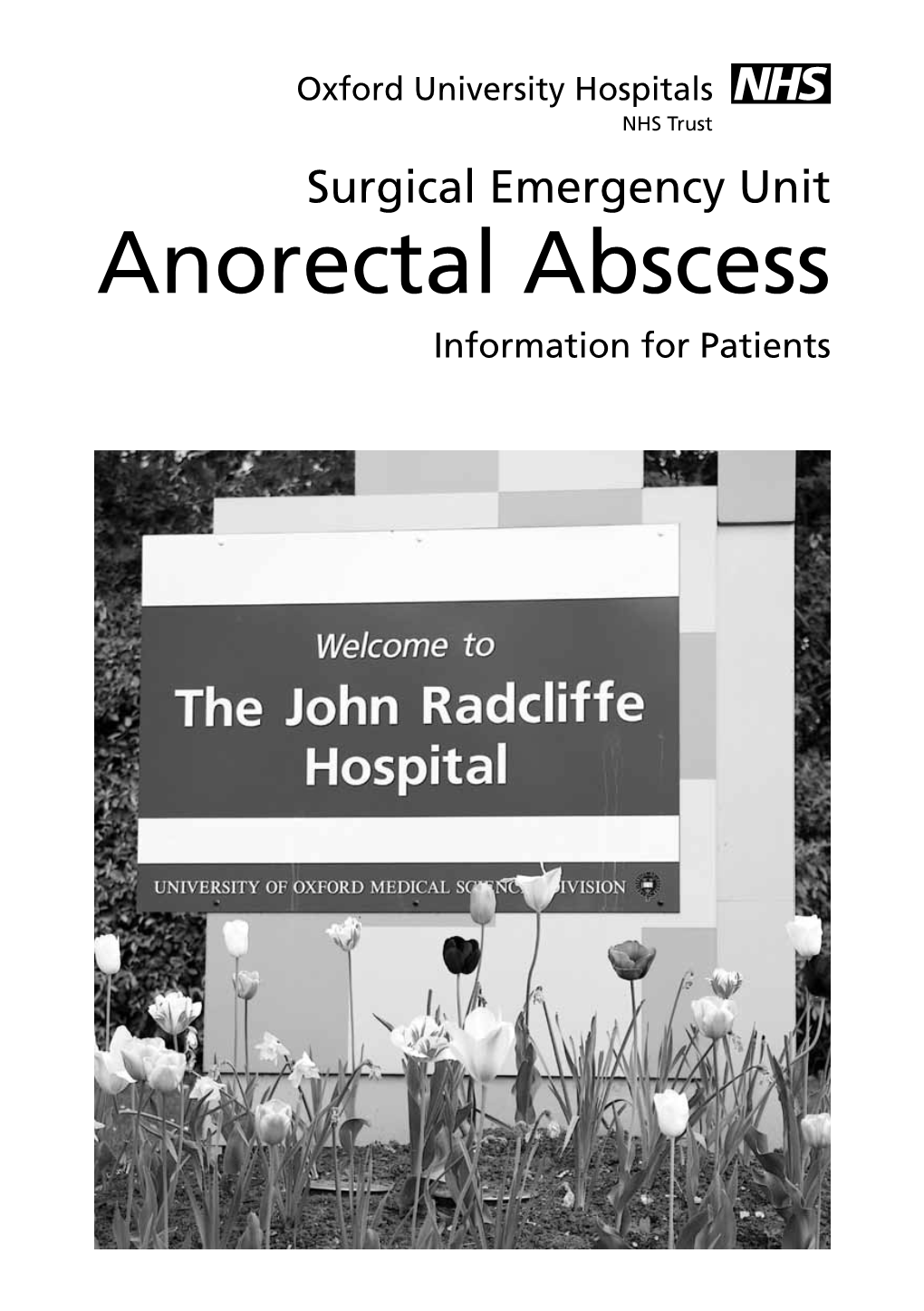 Anorectal Abscess Information for Patients What Is an Anorectal Abscess? an Anorectal Abscess Is a Collection of Pus That Builds up in the Rectum and Anus