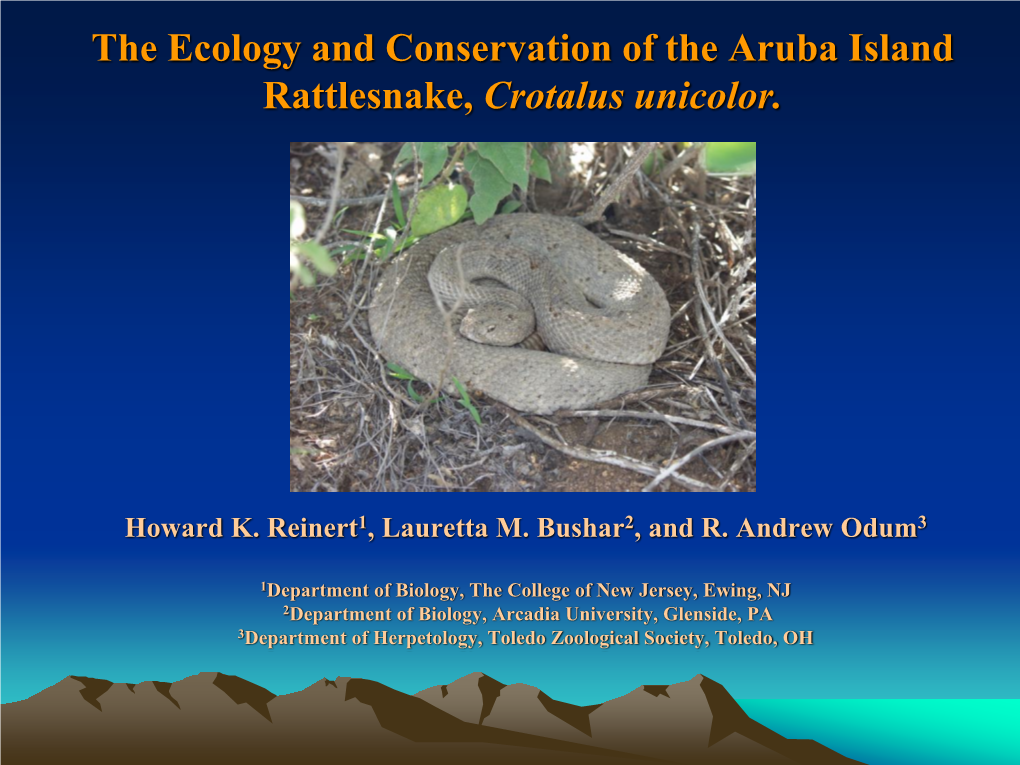 The Ecology and Conservation of the Aruba Island Rattlesnake, Crotalus Unicolor