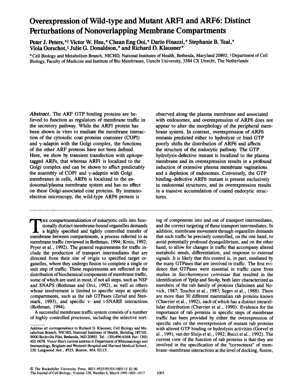 Overexpression of Wild-Type and Mutant ARF1 and ARF6: Distinct Perturbations of Nonoverlapping Membrane Compartments