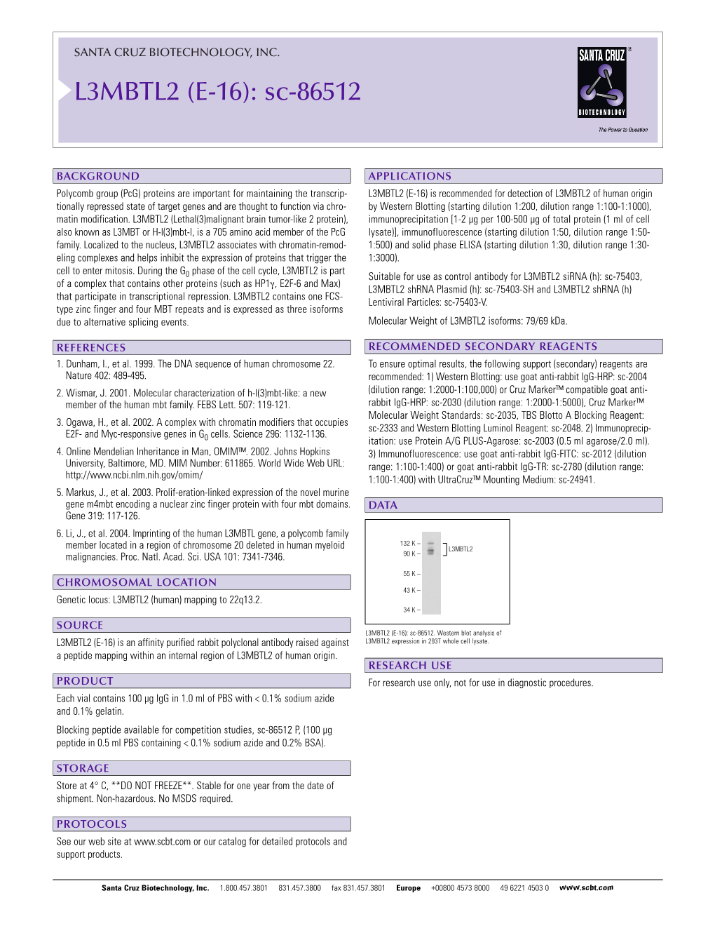 L3MBTL2 (E-16): Sc-86512