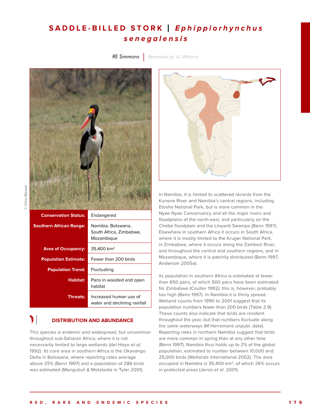 SADDLE-BILLED STORK | Ephippiorhynchus Senegalensis