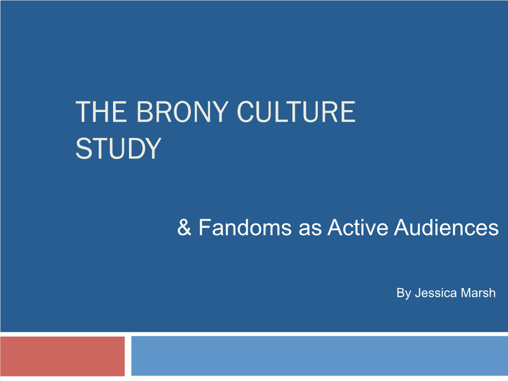 The Brony Culture Study