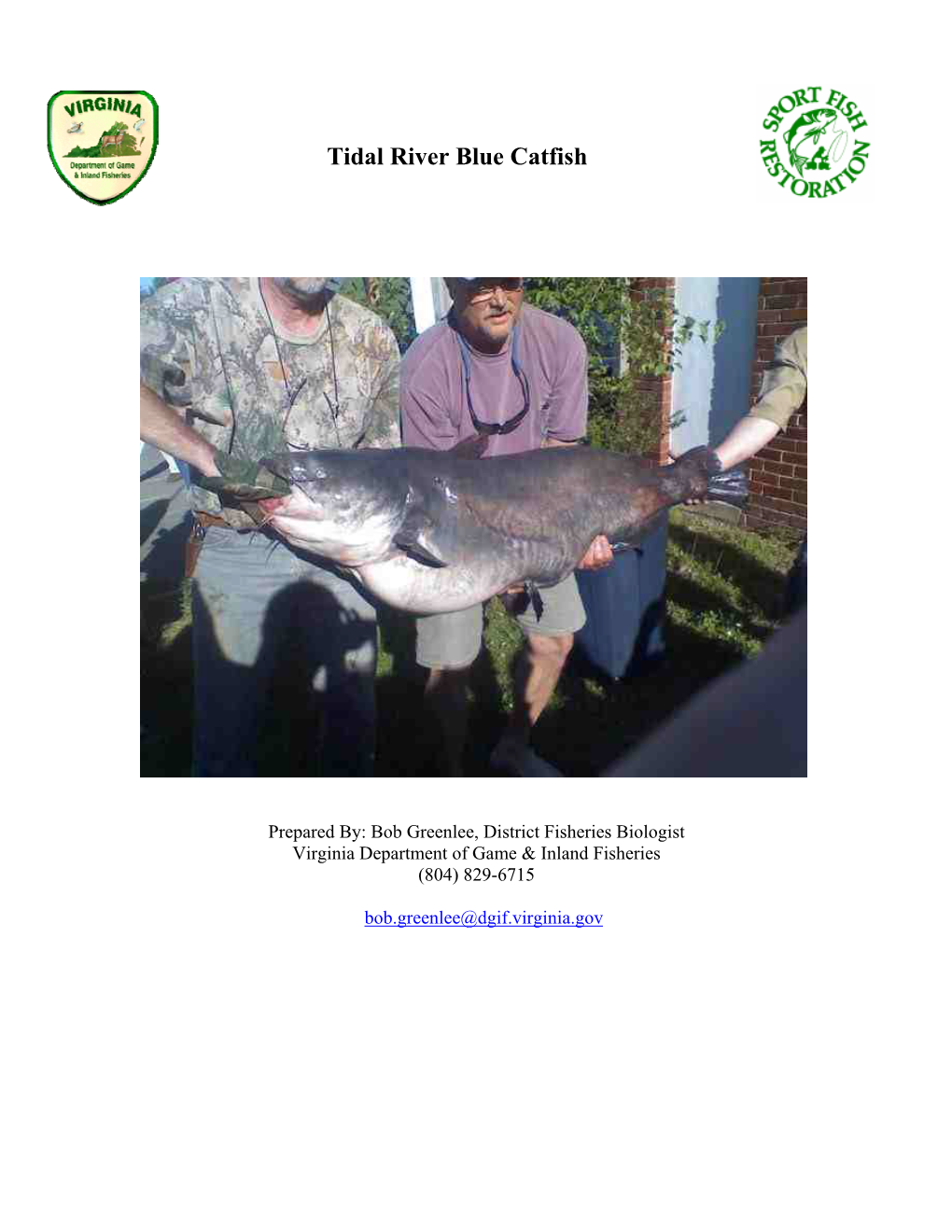 2010 Tidal Blue Catfish Status Report