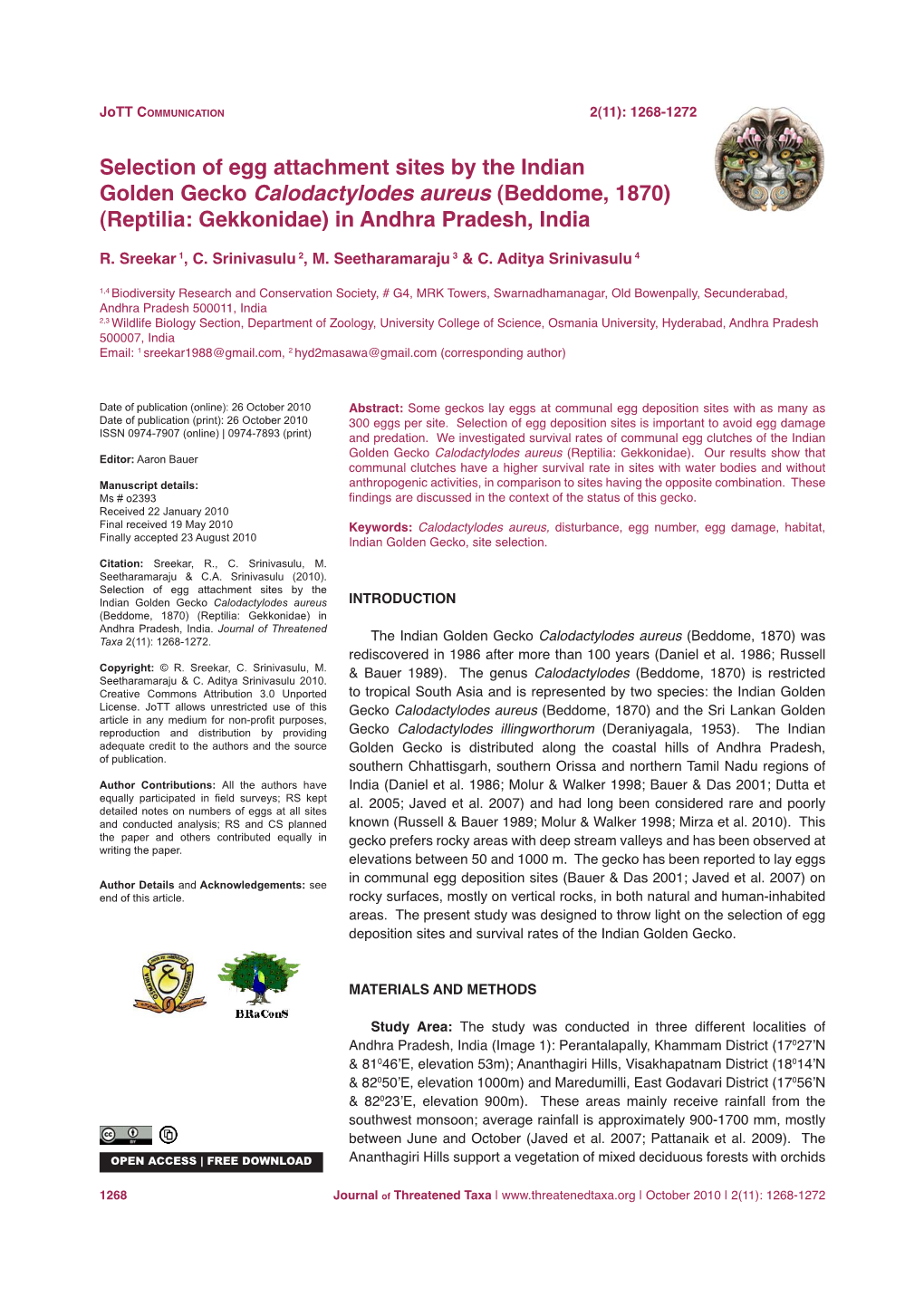 Selection of Egg Attachment Sites by the Indian Golden Gecko Calodactylodes Aureus (Beddome, 1870) (Reptilia: Gekkonidae) in Andhra Pradesh, India