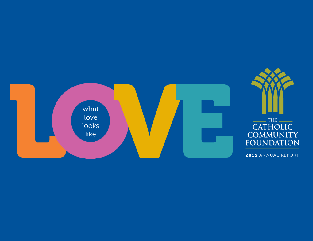 What Love Looks Like LOVE 2015 ANNUAL REPORT What Does Love Look Like? Since 2001, It Has the Hands to Help Others