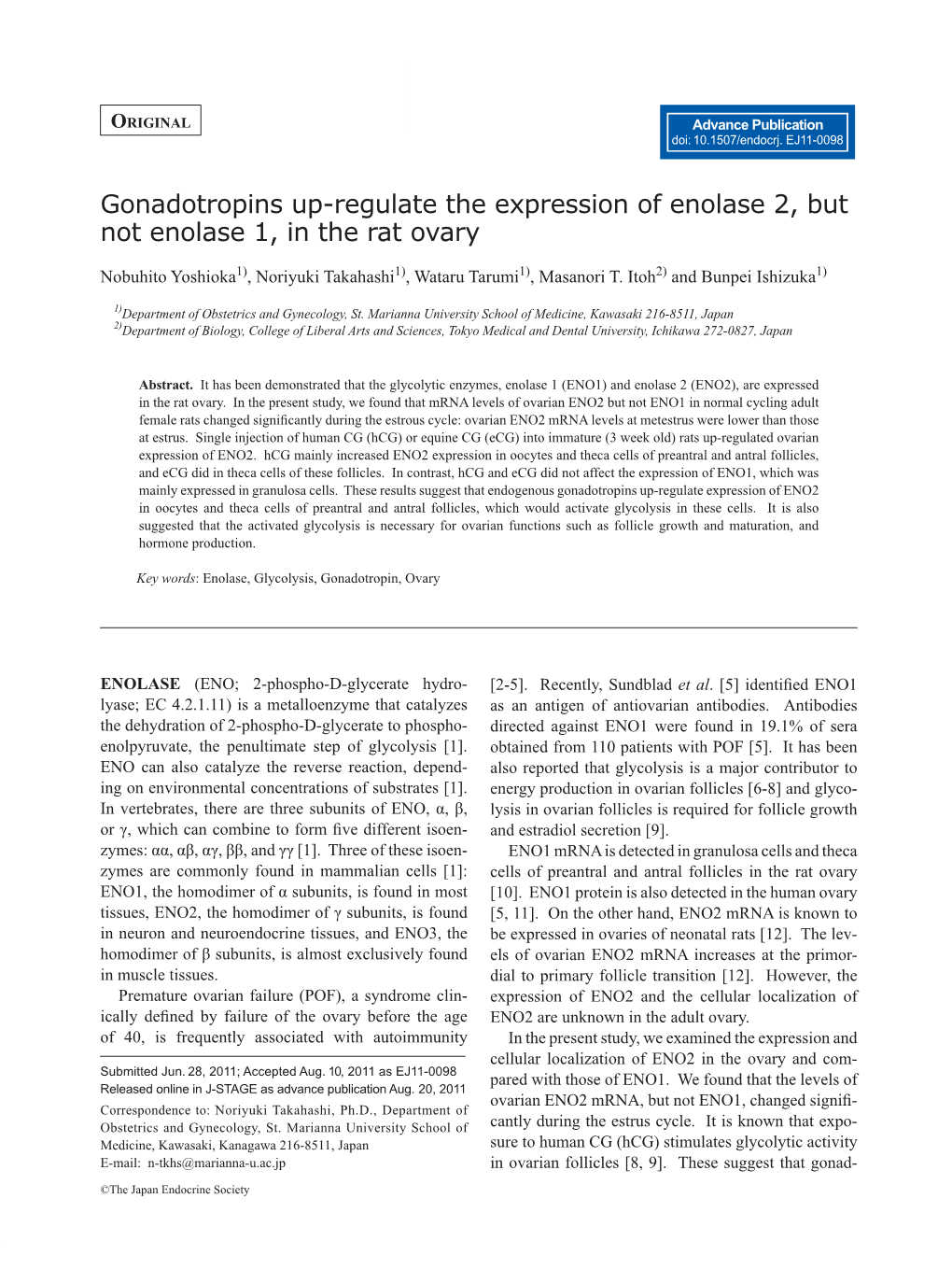Gonadotropins Up-Regulate the Expression of Enolase 2, but Not Enolase 1, in the Rat Ovary
