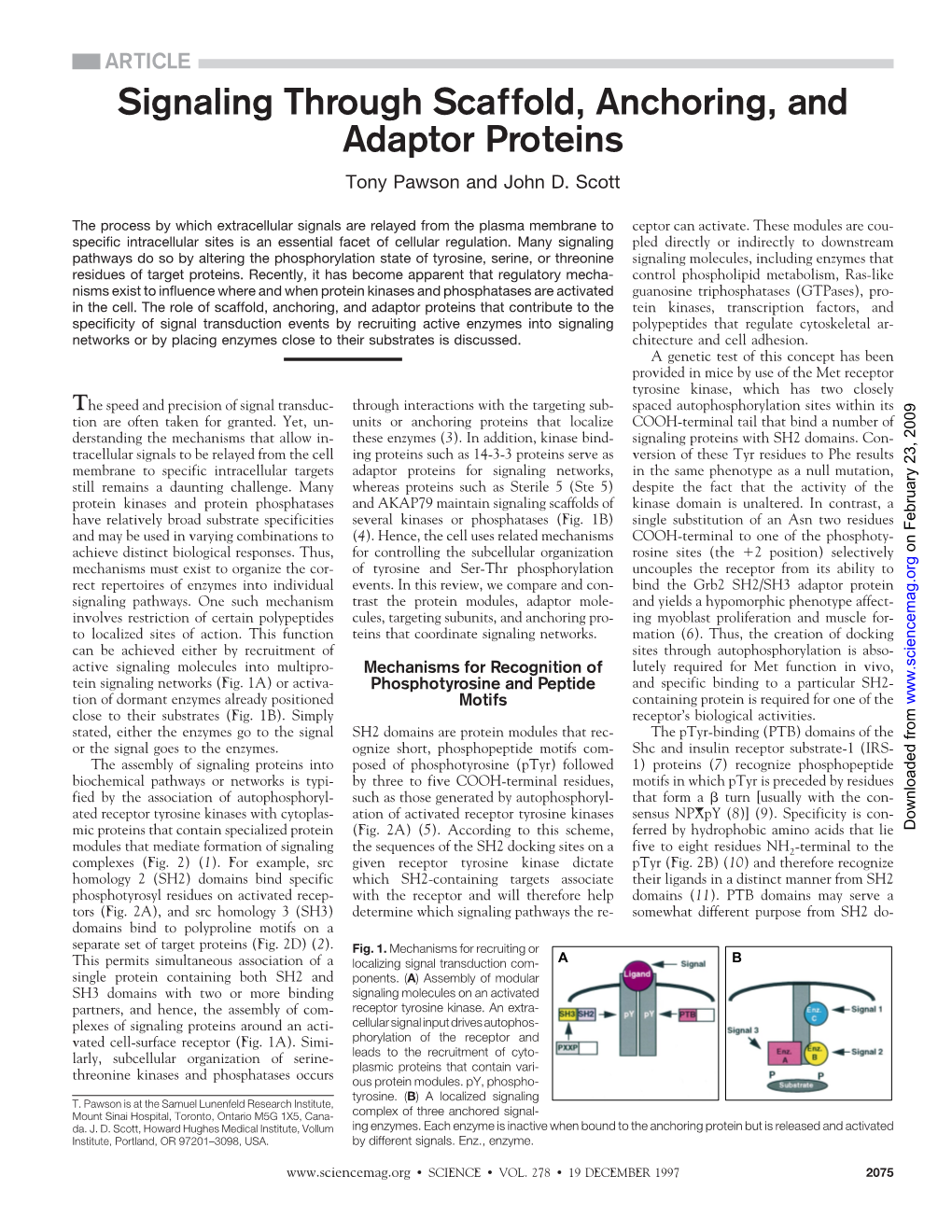 Signaling Through Scaffold, Anchoring, and Adaptor Proteins Tony Pawson and John D