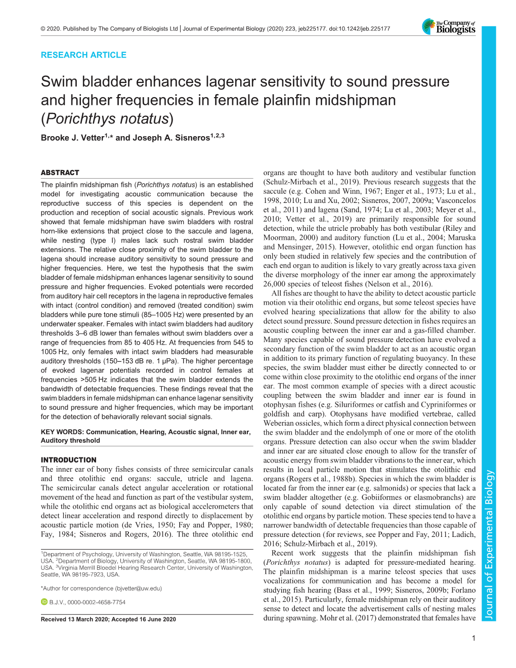 Swim Bladder Enhances Lagenar Sensitivity to Sound Pressure and Higher Frequencies in Female Plainfin Midshipman (Porichthys Notatus) Brooke J