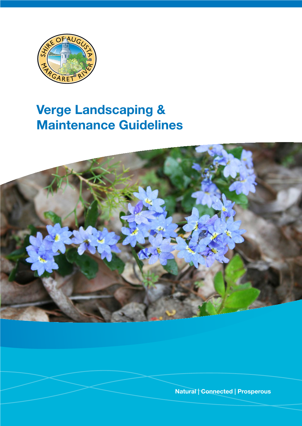 Verge Landscaping & Maintenance Guidelines