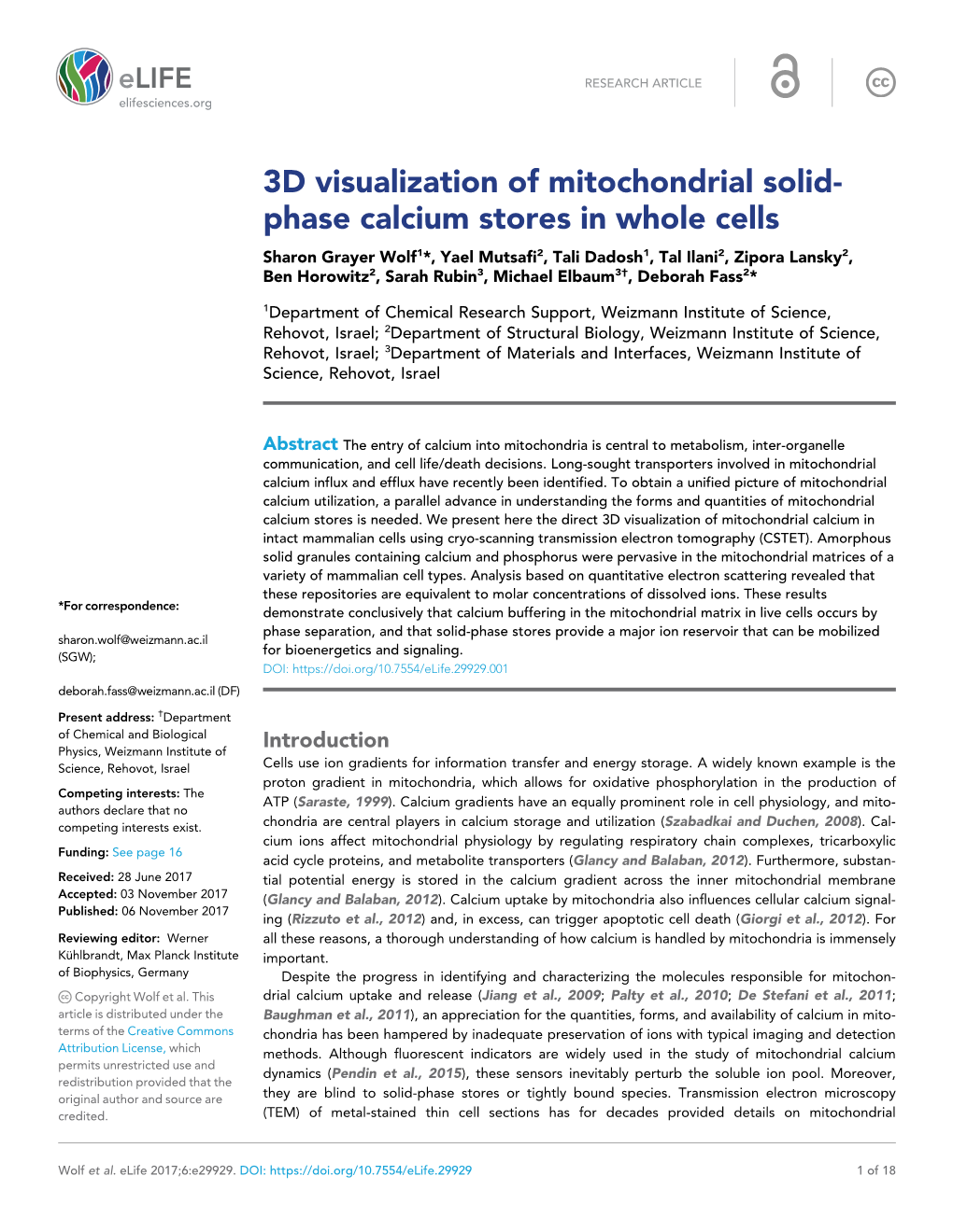 3D Visualization of Mitochondrial Solid- Phase Calcium Stores