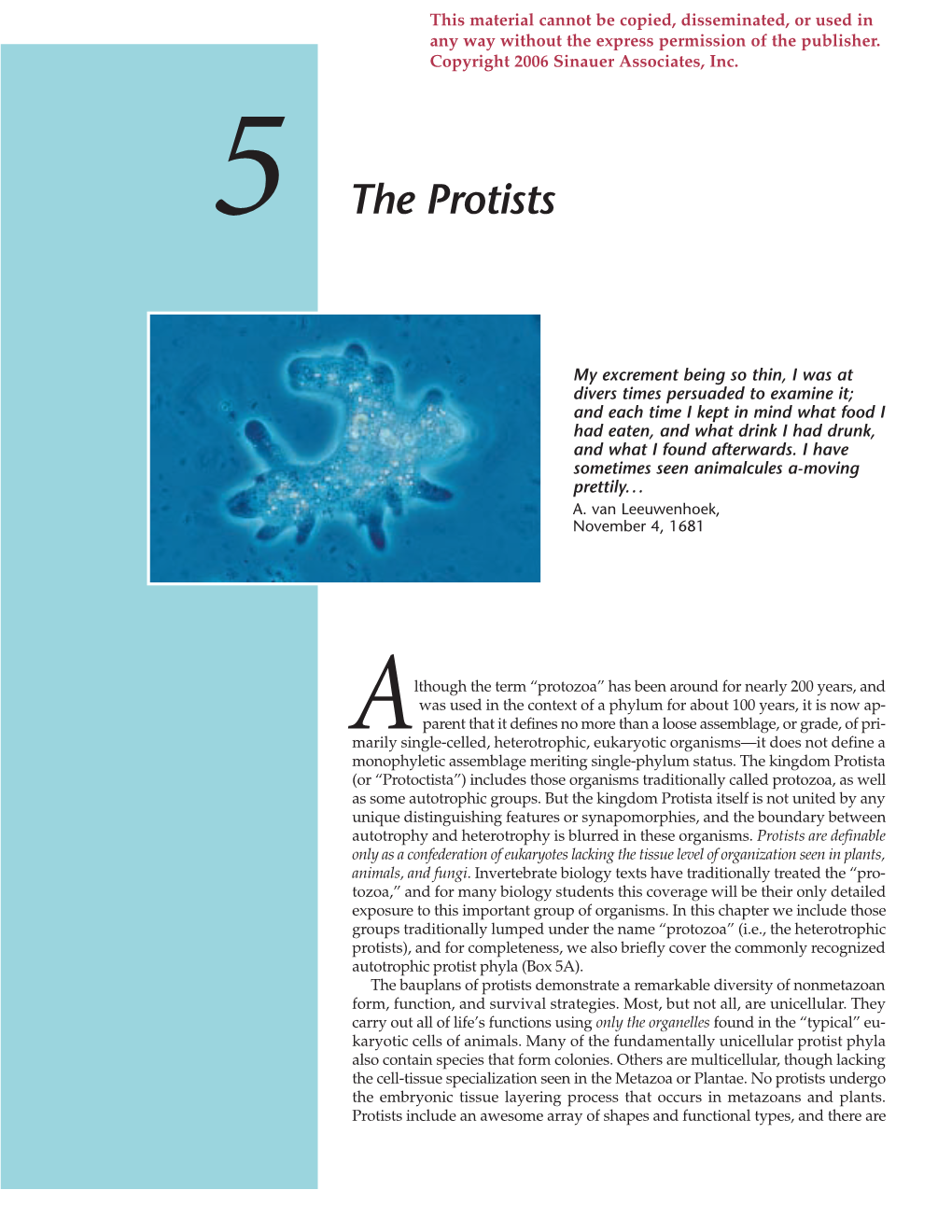 The Protists