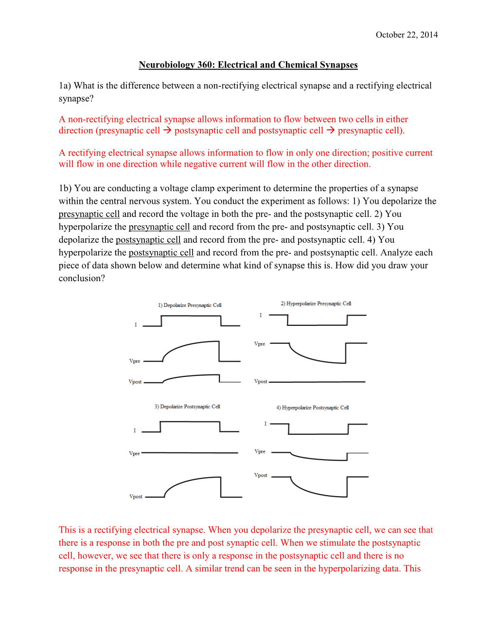 Neurobiology 360: Electrical and Chemical Synapses 1A