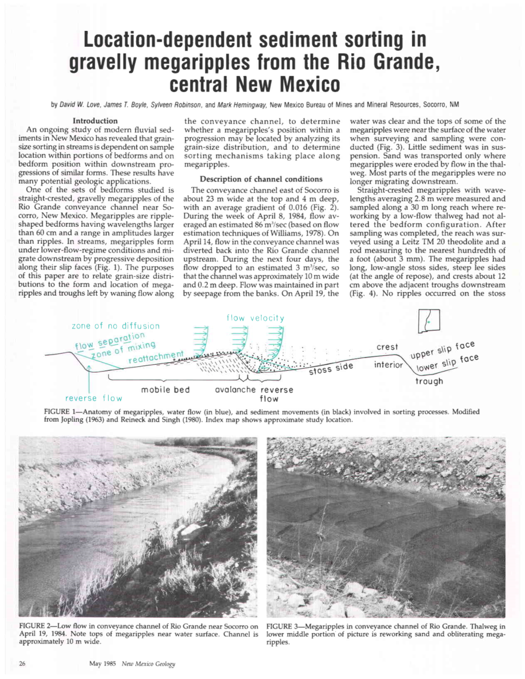 Location-Dependent Sediment Sorting in Gravelly Megaripples from the Rio Grande, Central New Mexico