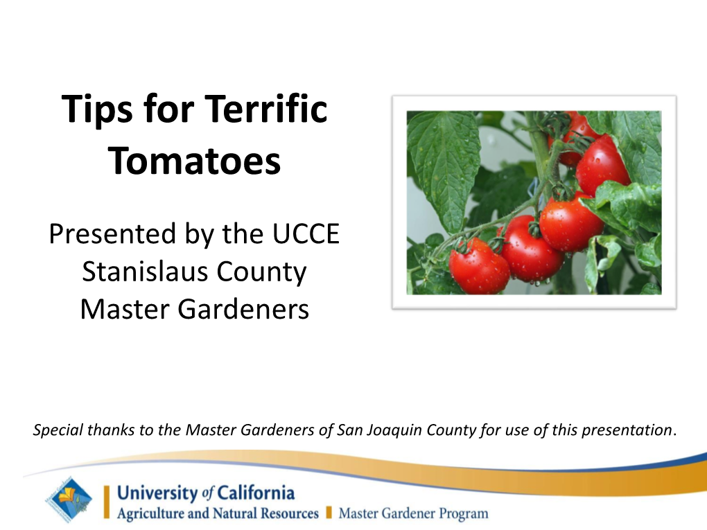 Tips for Terrific Tomatoes