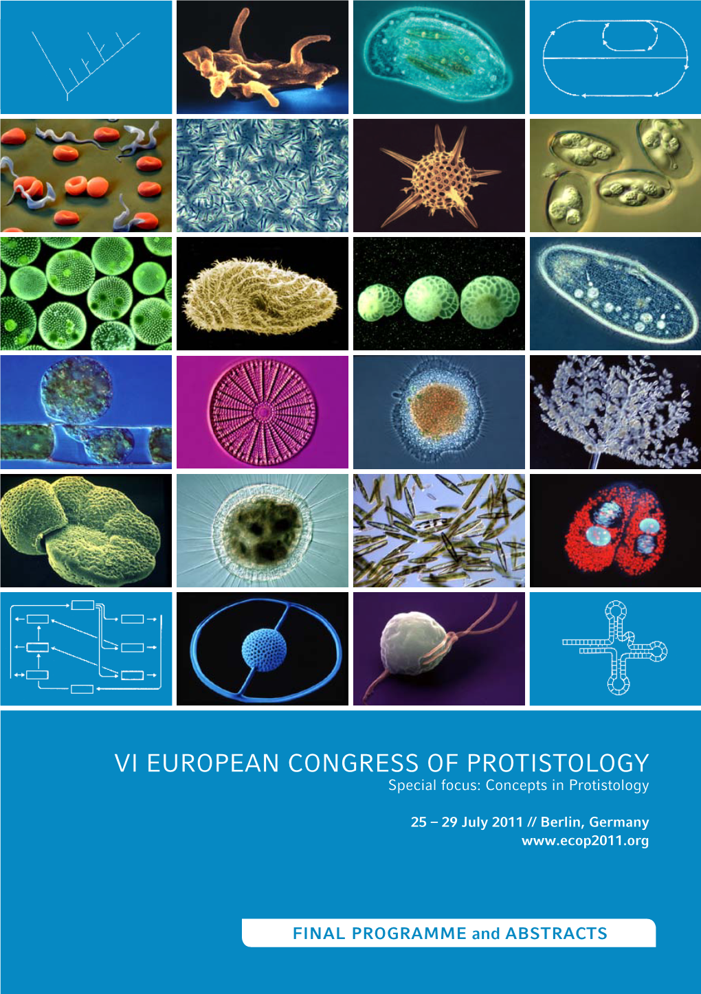 VI EUROPEAN CONGRESS of PROTISTOLOGY Special Focus: Concepts in Protistology