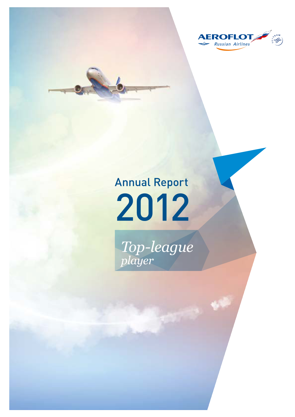 Annual Report 2012