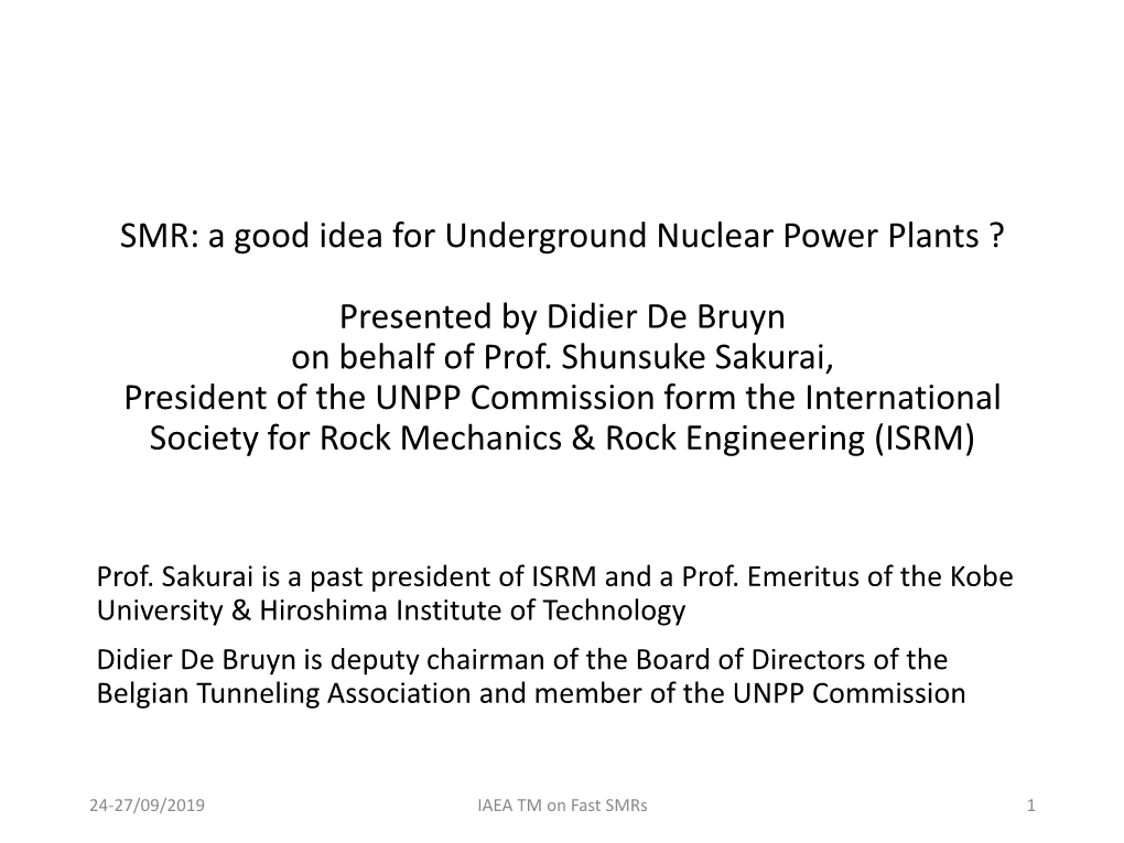 SMR: a Good Idea for Underground Nuclear Power Plants ?