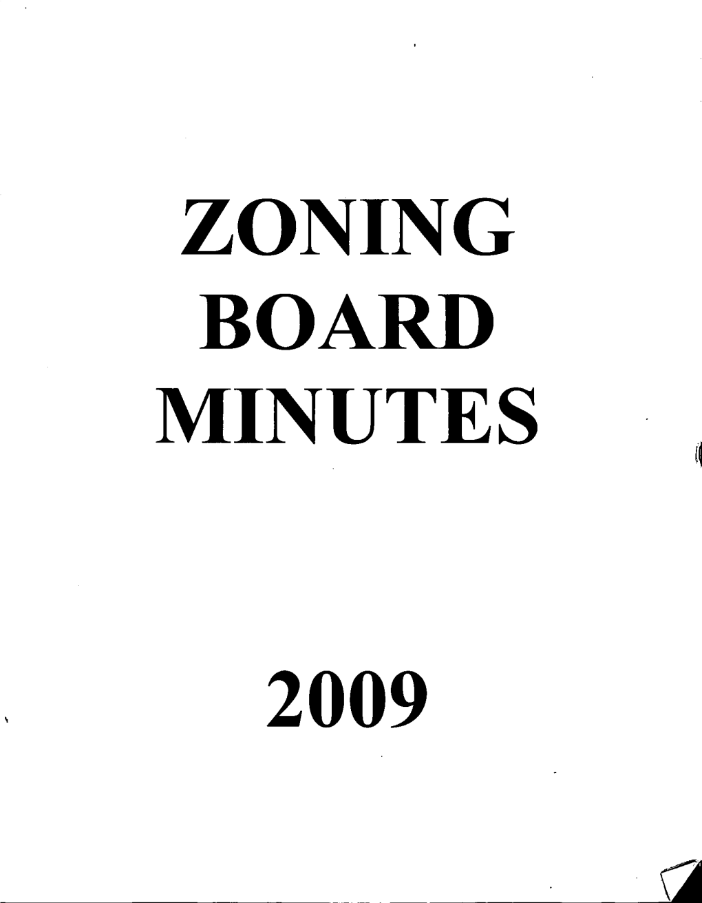 Zoning Board Minutes 2009