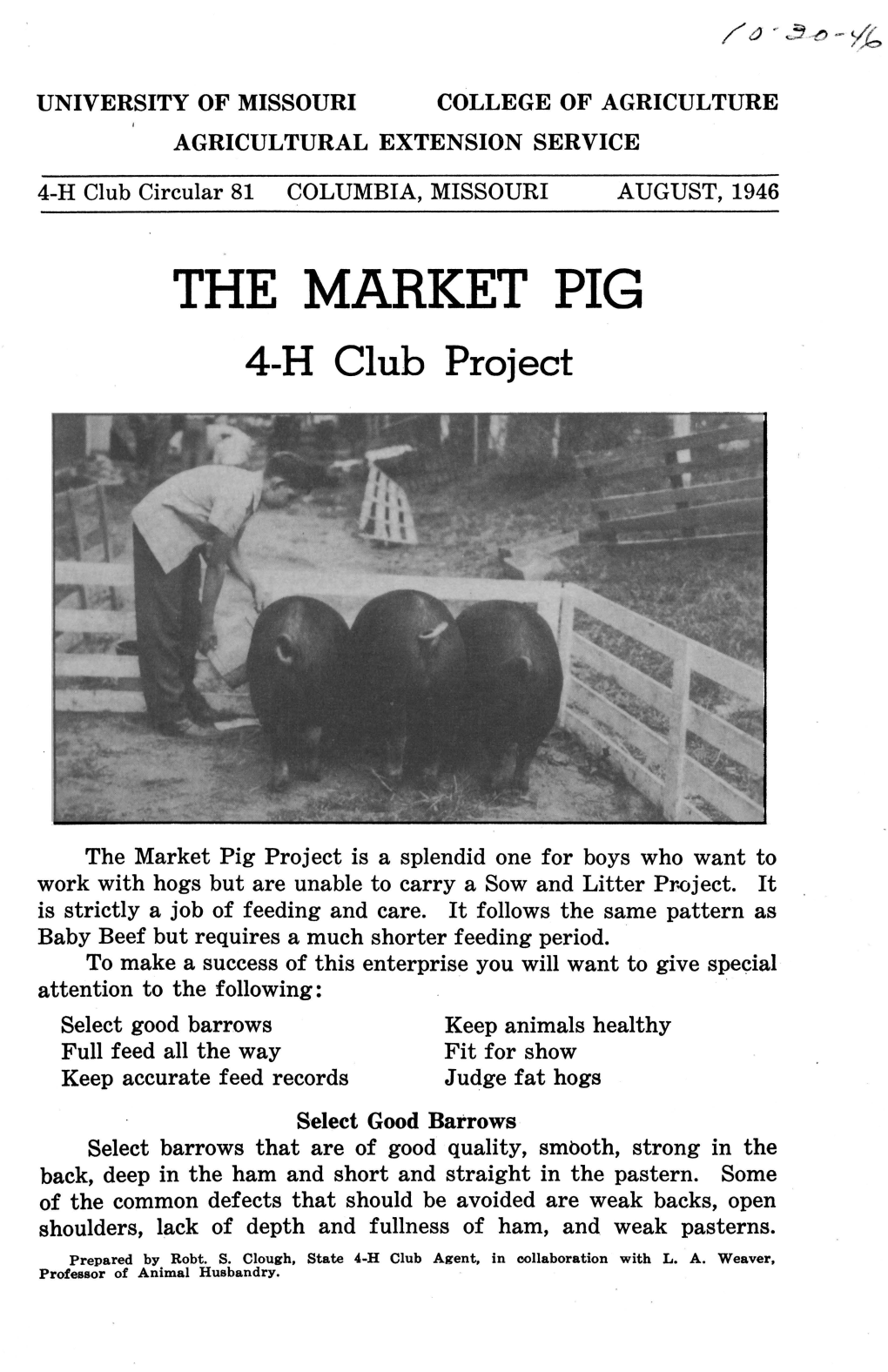 THE MARKET PIG 4-H Club Project