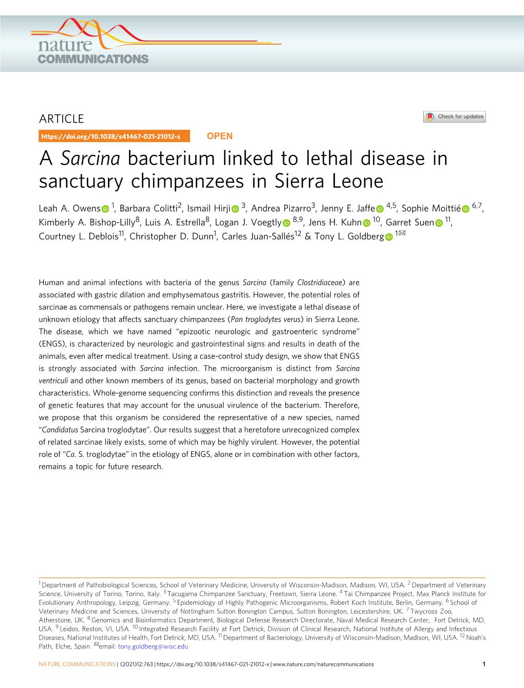 A Sarcina Bacterium Linked to Lethal Disease in Sanctuary Chimpanzees in Sierra Leone