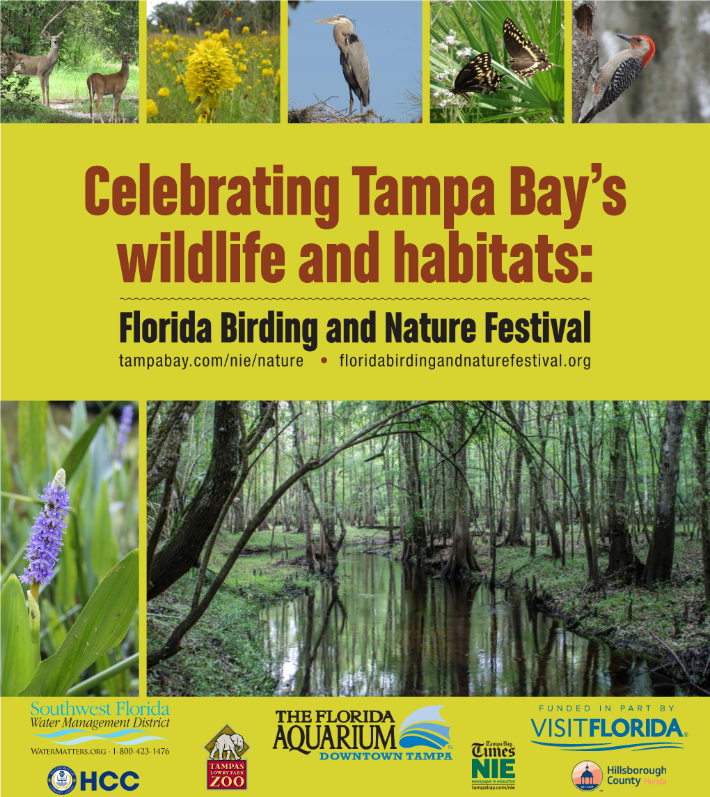 Celebrating Tampa Bay's Wildlife and Habitats