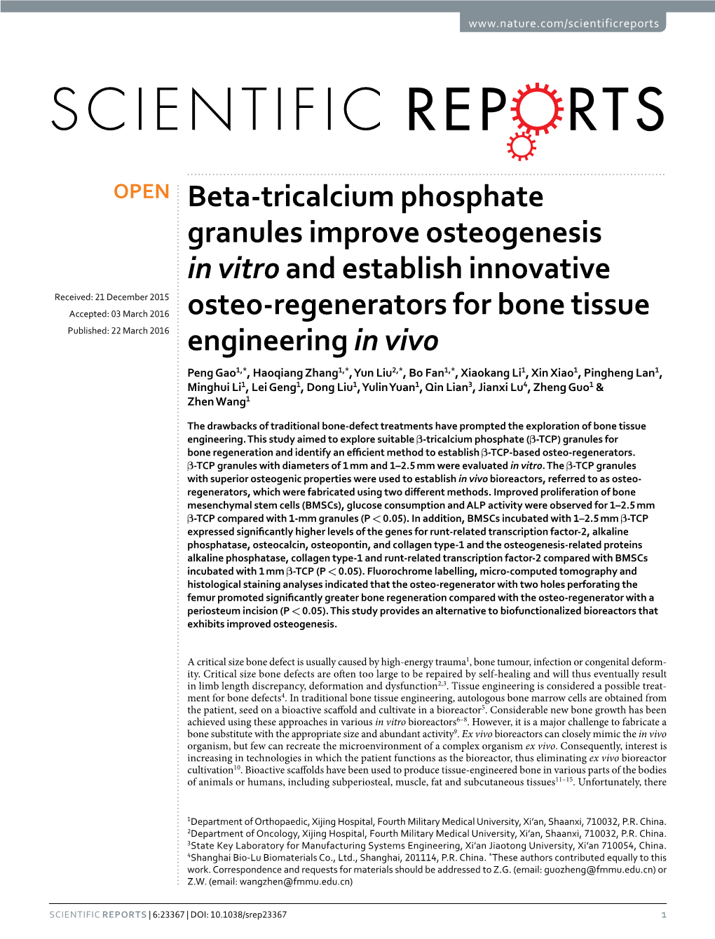 Beta-Tricalcium Phosphate Granules Improve Osteogenesis in Vitro And