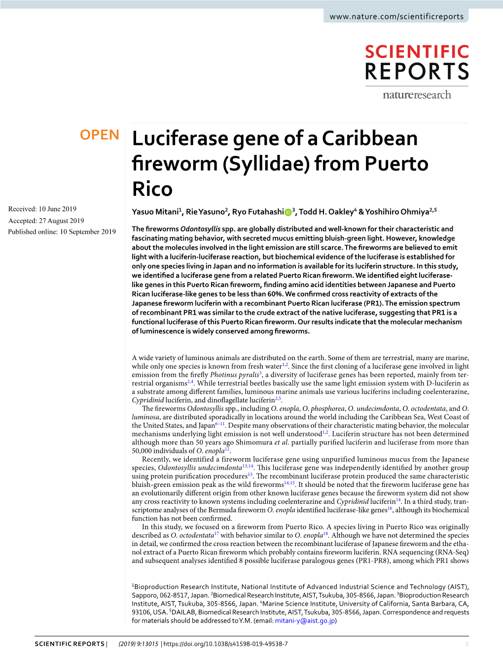 Luciferase Gene of a Caribbean Fireworm (Syllidae) from Puerto Rico