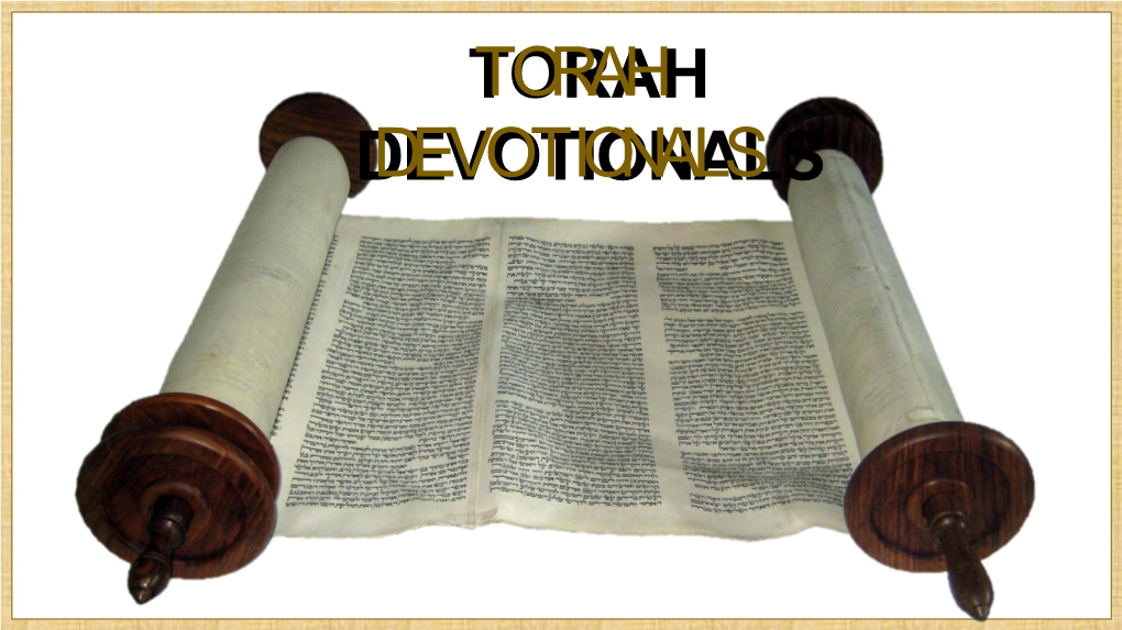 Torah Devotionalsdevotionals