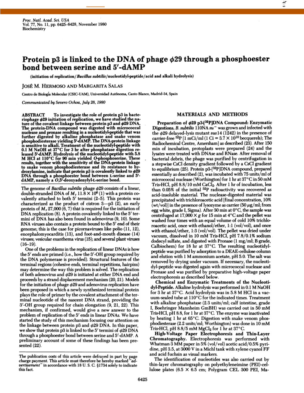 Protein P3 Is Linked to the DNA of Phage 029 Through a Phosphoester