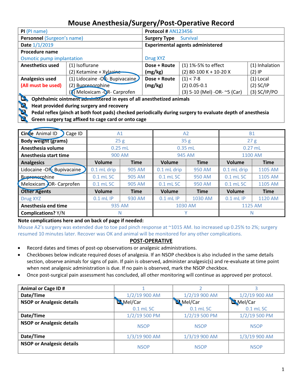 Mouse Anesthesia/Surgery/Post-Operative