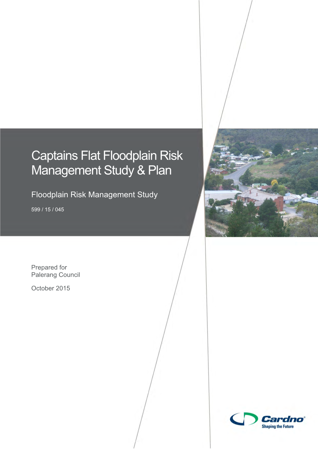 Captains Flat Floodplain Risk Management Study & Plan