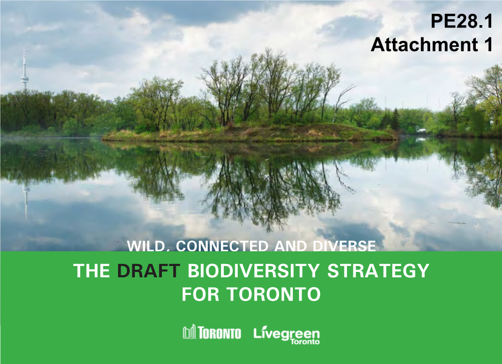 The Draft Biodiversity Strategy for Toronto
