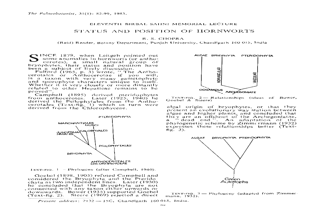 Status and Position of Hornworts