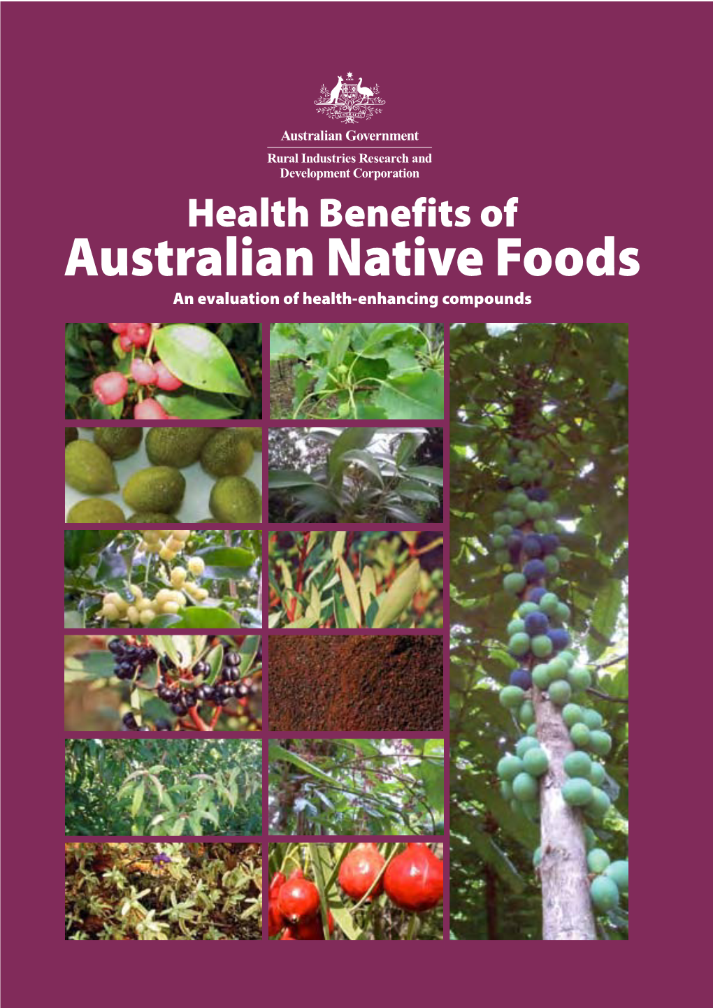 Australian Native Foods an Evaluation of Health-Enhancing Compounds © 2009 Rural Industries Research and Development Corporation, Canberra