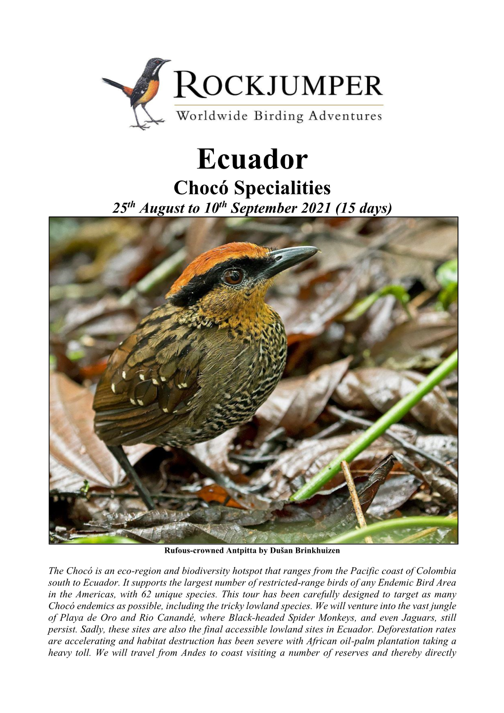 Ecuador Chocó Specialities 25Th August to 10Th September 2021 (15 Days)