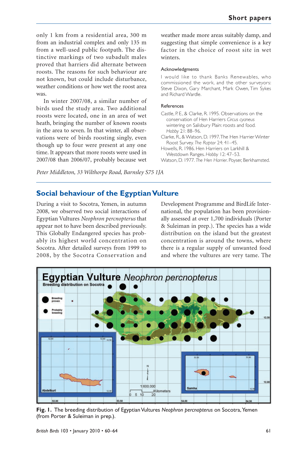 Social Behaviour of the Egyptian Vulture