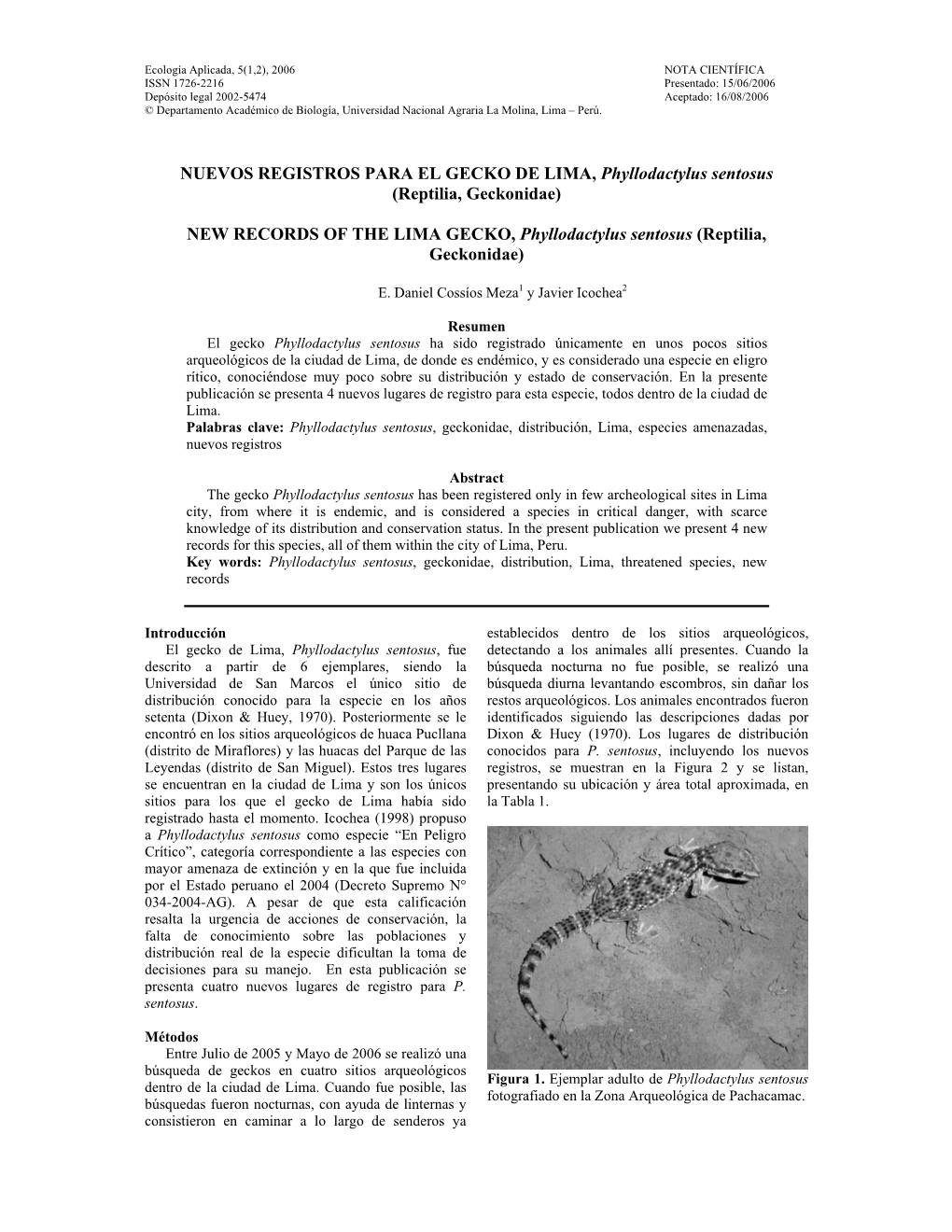 NUEVOS REGISTROS PARA EL GECKO DE LIMA, Phyllodactylus Sentosus (Reptilia, Geckonidae)