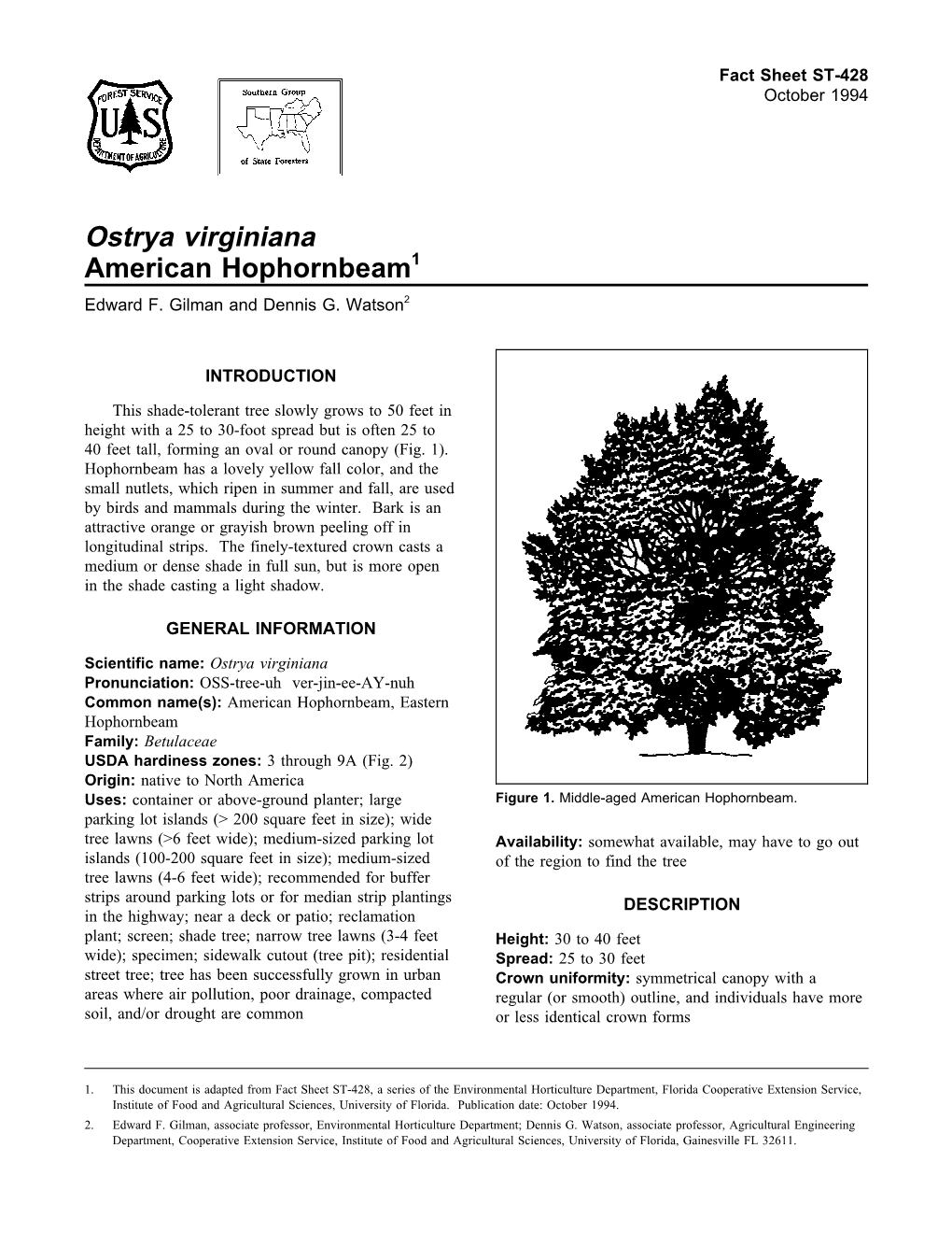 Ostrya Virginiana American Hophornbeam1 Edward F