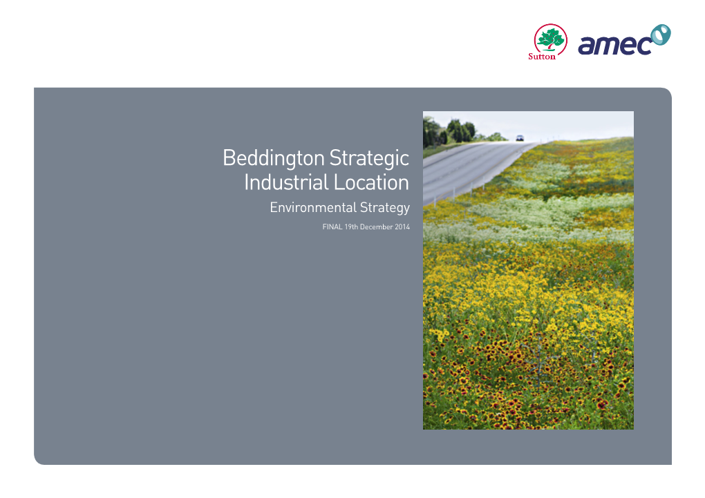 Beddington Environmental Strategy